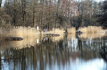 Park w Szczodrem
