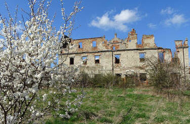  Ruiny pałacu w Borzygniewie