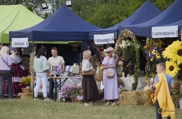 _DSC8703