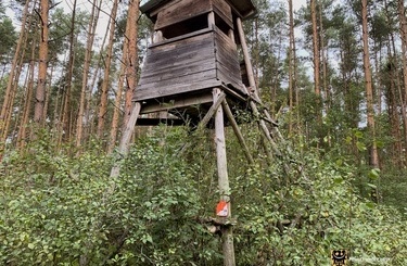 2026.08.30 Chrza╠Ęstawa Wielka PK 34
