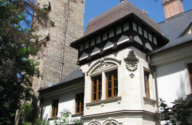 Pałac w Krzyżowicach