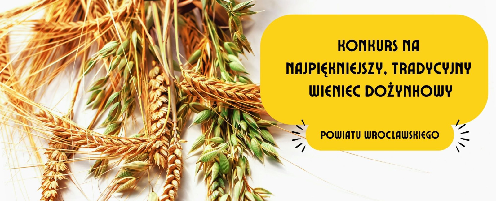 Zdjęcie do Konkurs na Najpiękniejszy Tradycyjny Wieniec Dożynkowy &ndash; zgłoszenia...