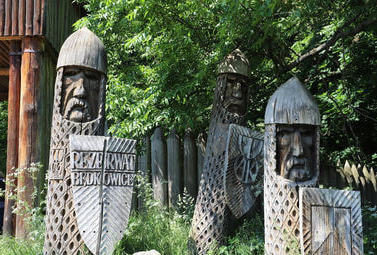 Zdjęcie do Spotkania z przyrodą - cykl warsztat&oacute;w ekologicznych dla dzieci...
