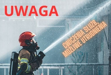 Zdjęcie do Ćwiczenia służb 