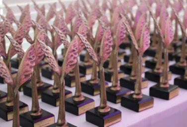 Zdjęcie do Za Nami Gala Sportu Powiatu Wrocławskiego