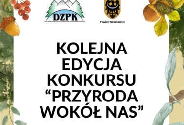 Zdjęcie do Kolejna edycja Konkursu &bdquo;Przyroda Wok&oacute;ł nas"