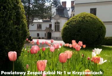 Zdjęcie do Rekrutacja do szk&oacute;ł ponadpodstawowych &ndash; start już 16 maja...