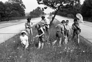 Zdjęcie do Mechaniczne konie na betonie, czyli kilka fakt&oacute;w z historii autostrady...