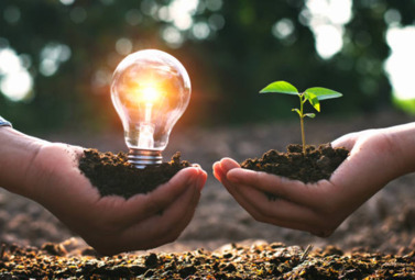 Zdjęcie do Jak dbać o czyste powietrze? Oszczędzaj energię elektryczną!