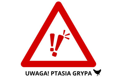 Zdjęcie do Ptasia grypa