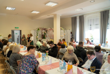 Zdjęcie do Wyjątkowy piknik rodzinny w Kątach Wrocławskich