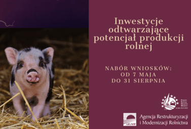 Zdjęcie do ARiMR: 300 tys. zł na odtworzenie potencjału produkcji rolnej