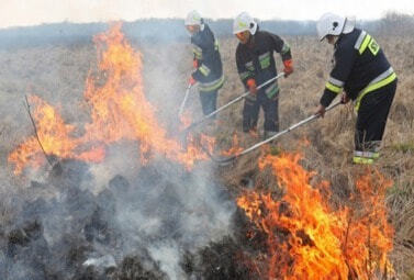 Zdjęcie do Wsp&oacute;łpraca ARiMR i Państwowej Straży Pożarnej 