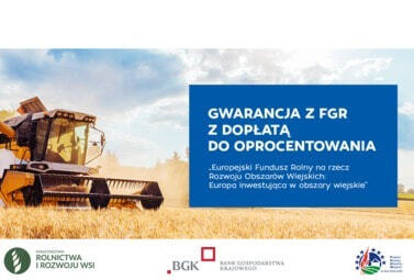 Zdjęcie do Gwarancja spłaty kredytu  z Funduszu Gwarancji Rolnych wraz z dopłatą...