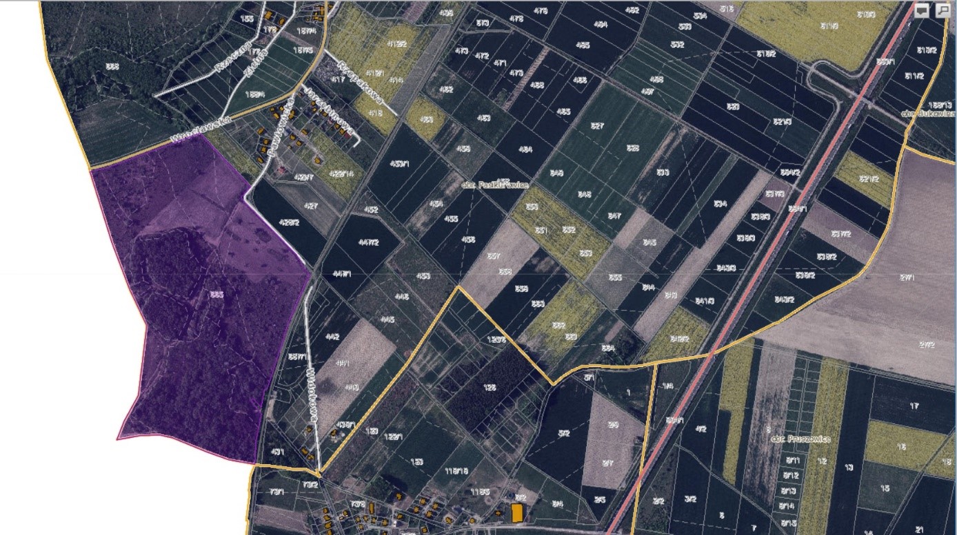 Mapa do oferty inwestycyjnej Pasikurowice działka nr 665- TEREN w Studium Uwarunkowań i Kierunków Zagospodarowania Przestrzennego przeznaczony pod AKTYWNOŚĆ GOSPODARCZĄ Istnieje możliwość zmiany przeznaczenia w Studium - pod mieszkalnictwo i usługi