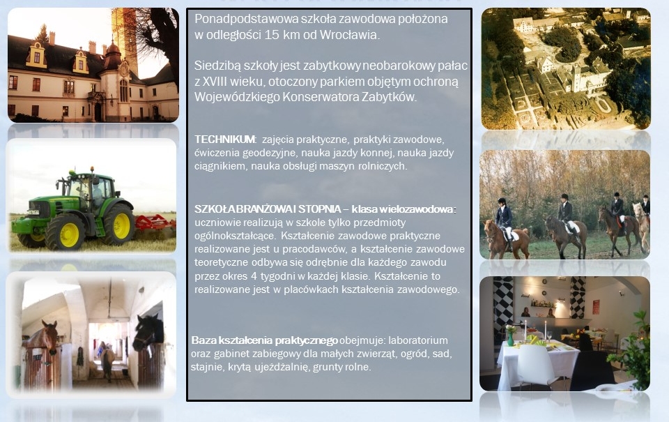 Oferta edukacyjna PZS Krzyżowice Oferta edukacyjna PZS Krzyżowice
